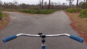 Photo by Daniel Oines via Flickr.com CC