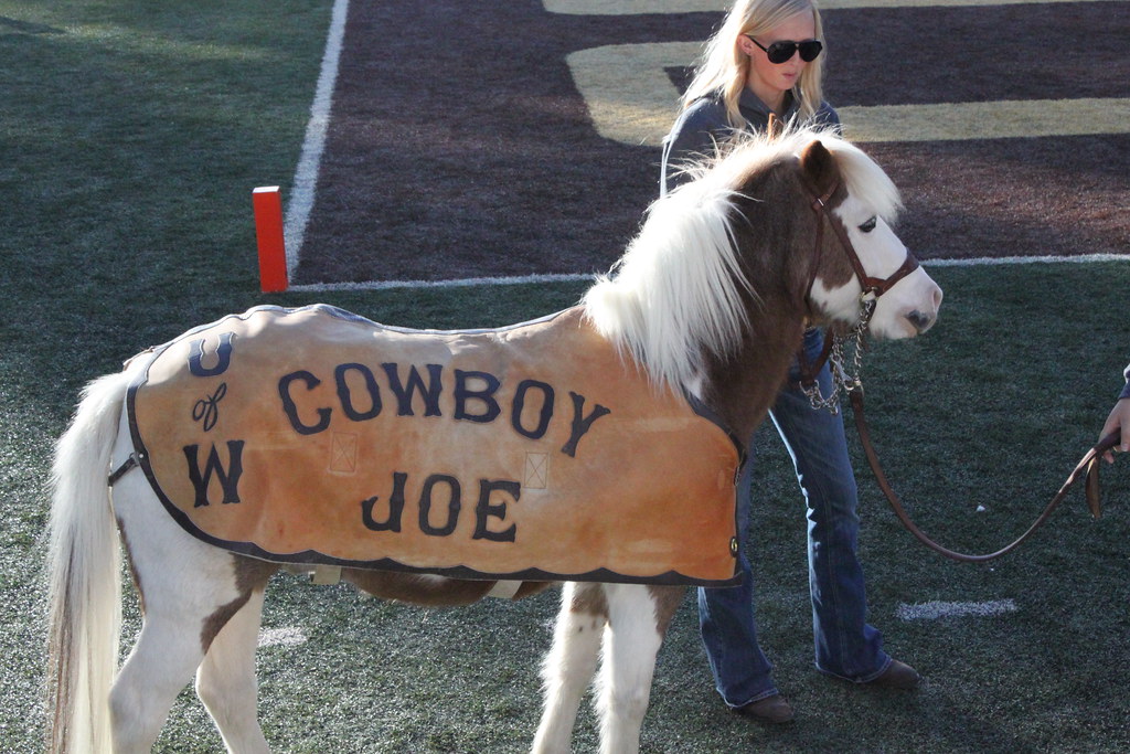 A pony ith a cover that says Cowboy Joe on a foodball field