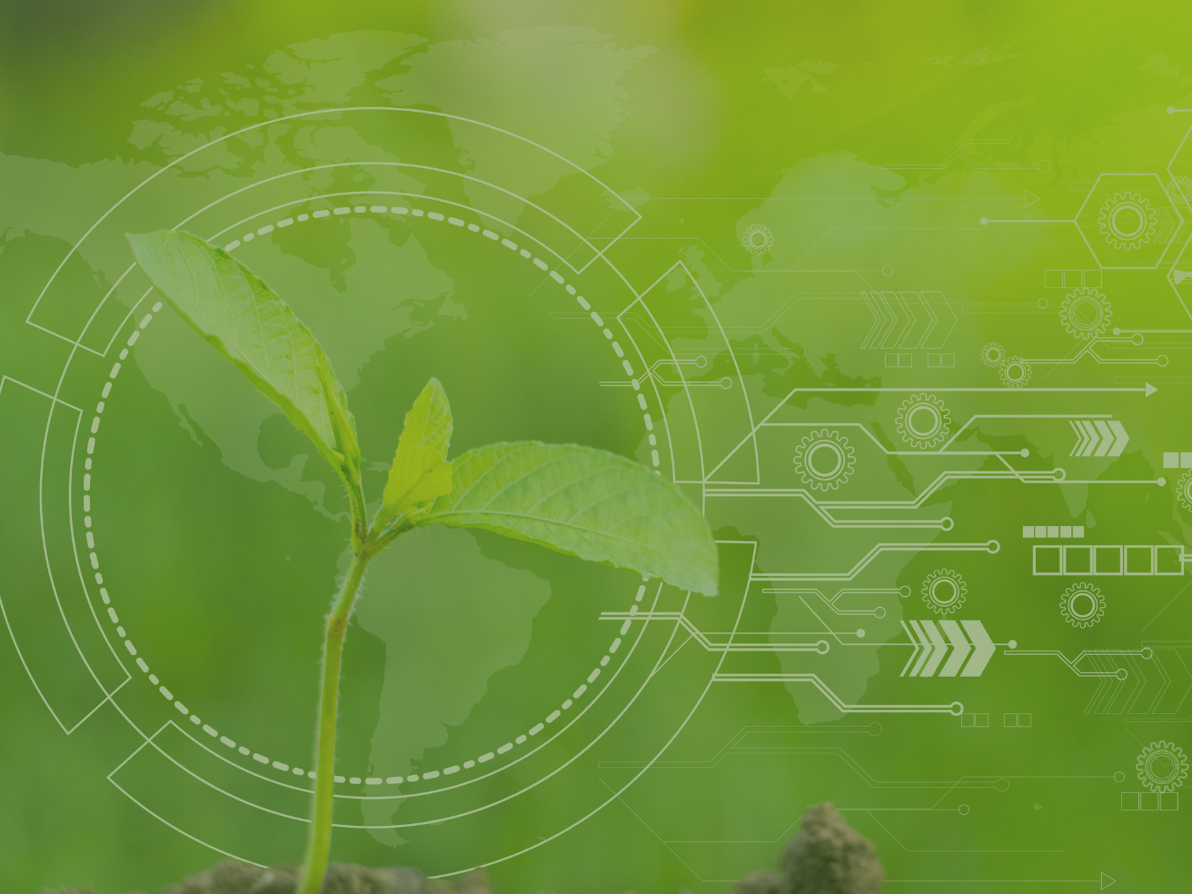 image of a growing seedling with technology abstracts