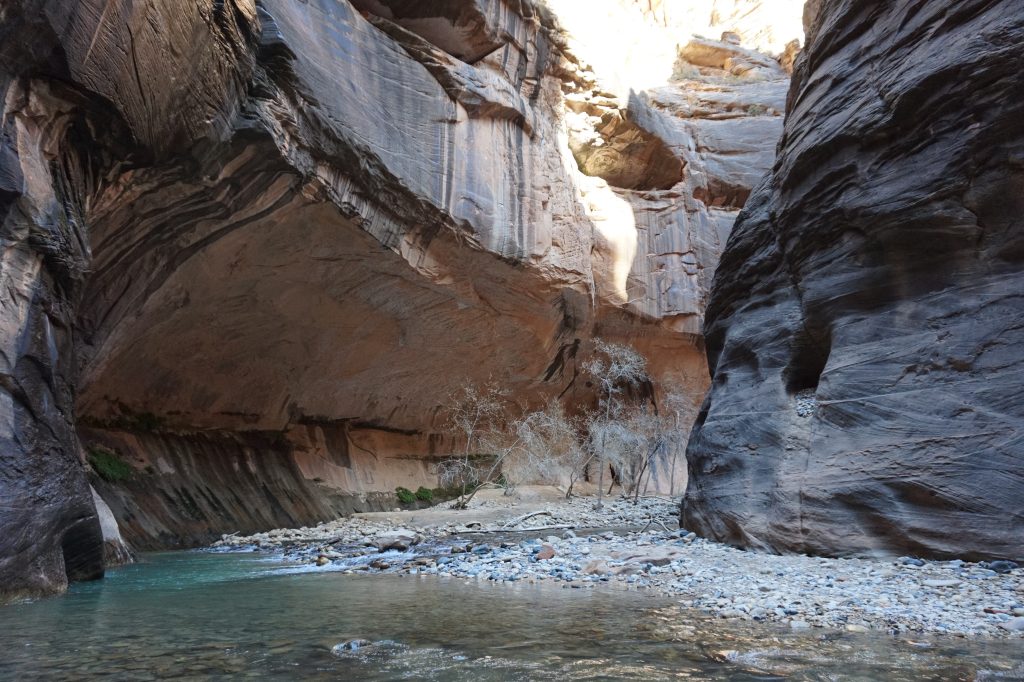 Image of a canyon with a river running through it. Photo is from Van's trip to Zion National Park.