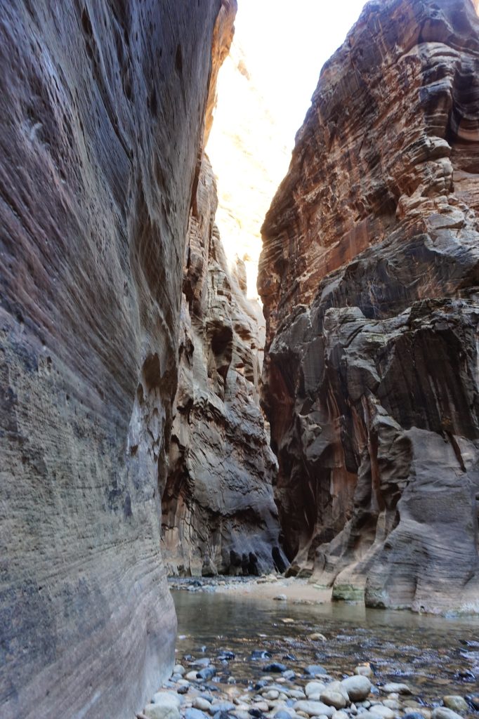 A more narrow view of the canyon in Zion National Park