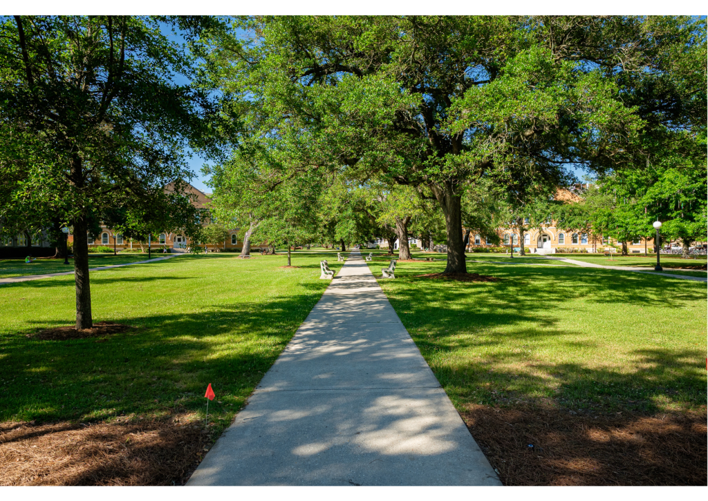 Summer on empty campus