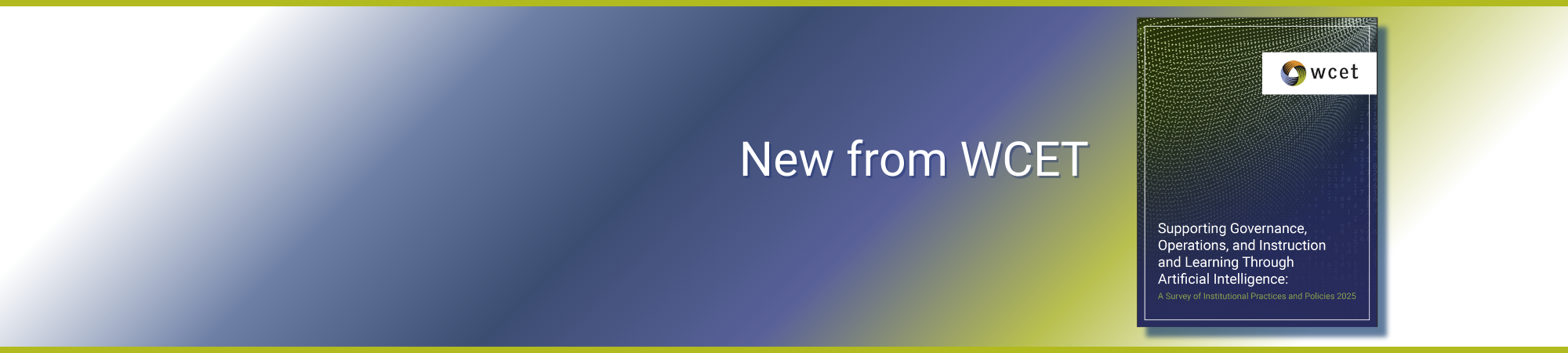 Walking Tour in Amsterdam