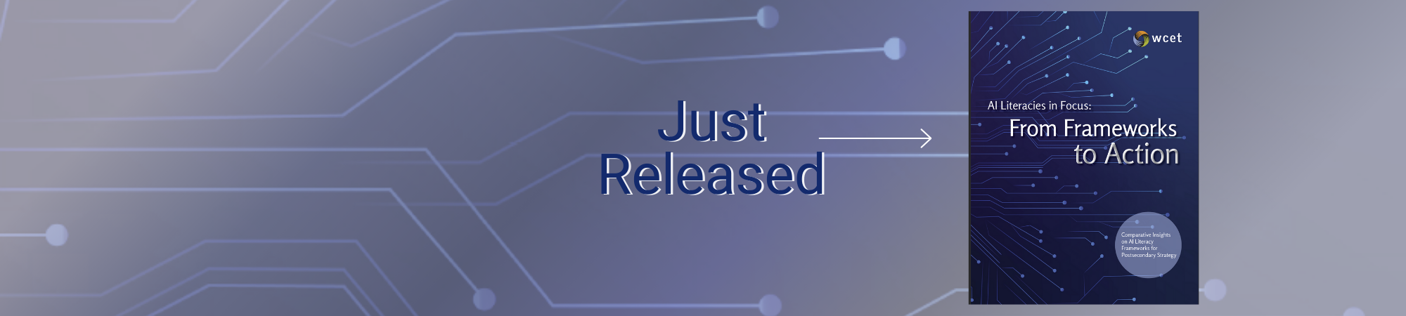 Walking Tour in Amsterdam